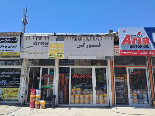 عکس روغن موتور و فیلتر مولود زاده