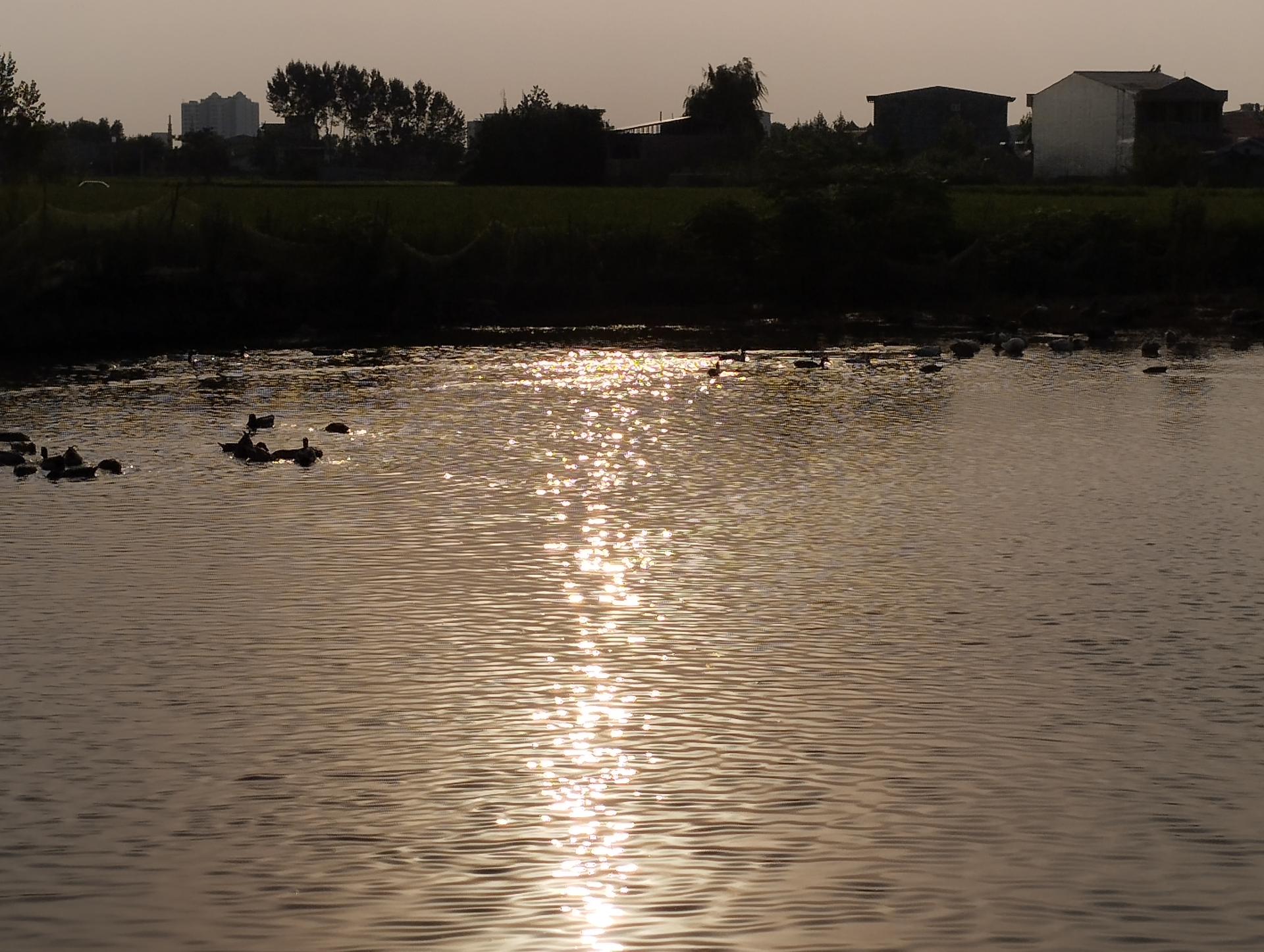 عکس تالاب سرخرود