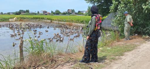 عکس تالاب سرخرود