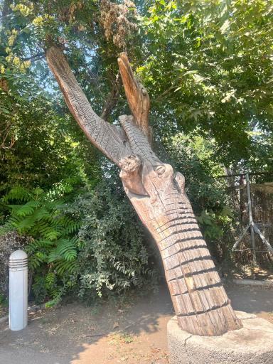 بوستان نرگس (بانوان)