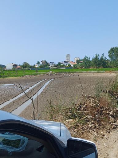 عکس تالاب سرخرود