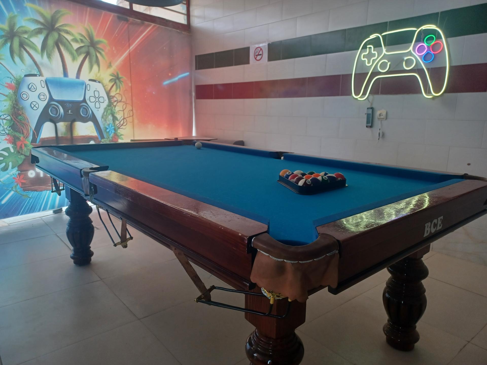 عکس نخل گیم 