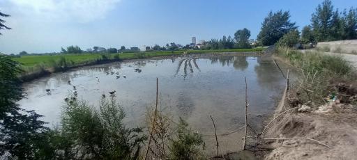 عکس تالاب سرخرود