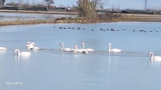 عکس تالاب سرخرود