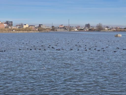 عکس تالاب سرخرود