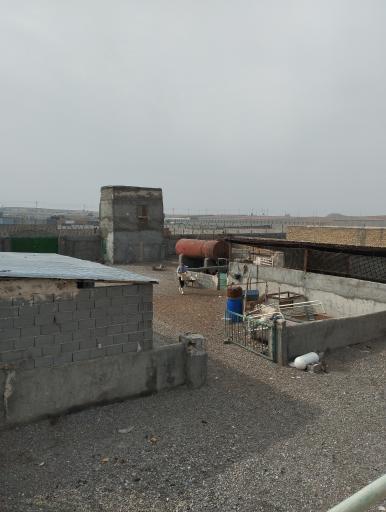 عکس دامداری حاج محمد تاخ