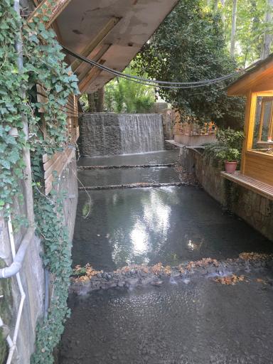 عکس رستوران آبشار