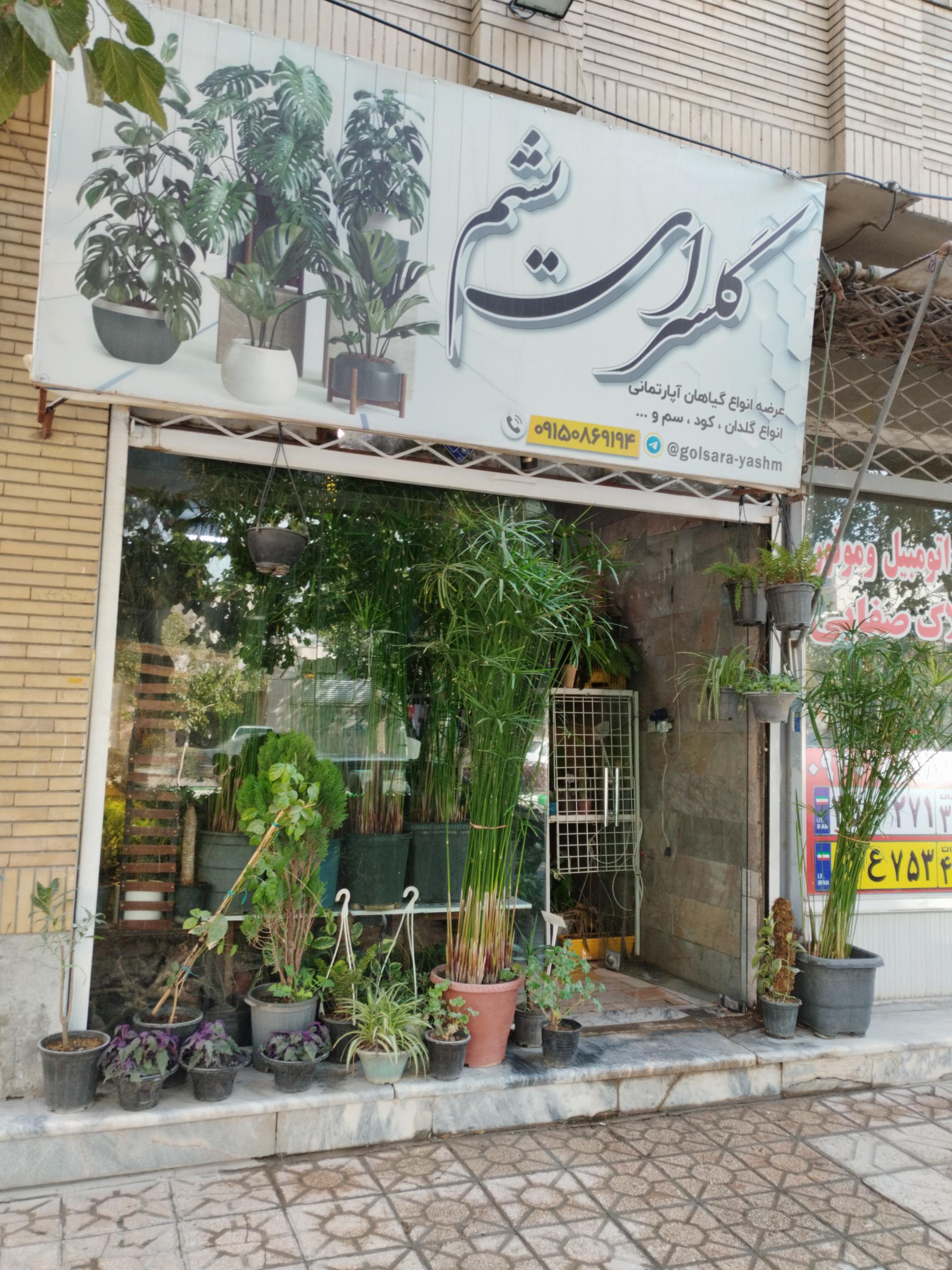 عکس گلسرای یشم 