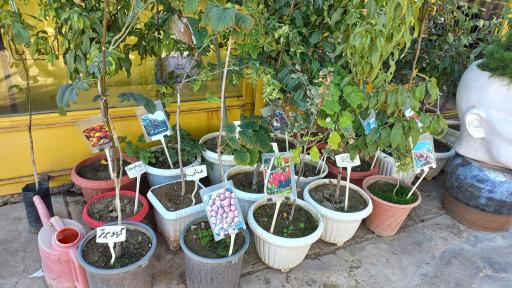 عکس نهالستان وحید افشار