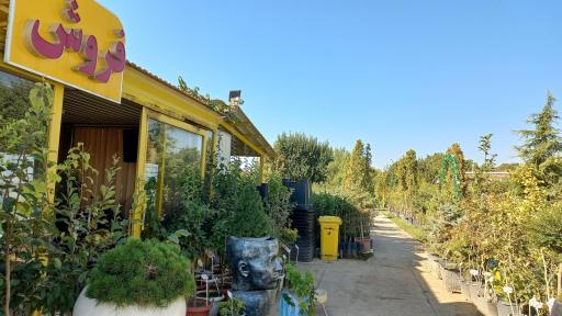 عکس نهالستان وحید افشار