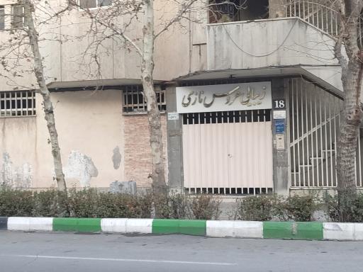 زیبایی عروس نازی