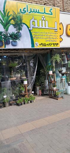 عکس گلسرای یشم 