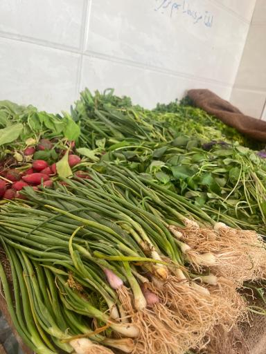 عکس میوه سرای سید