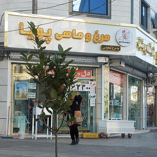 عکس پروتئین مرغ و ماهی پویا