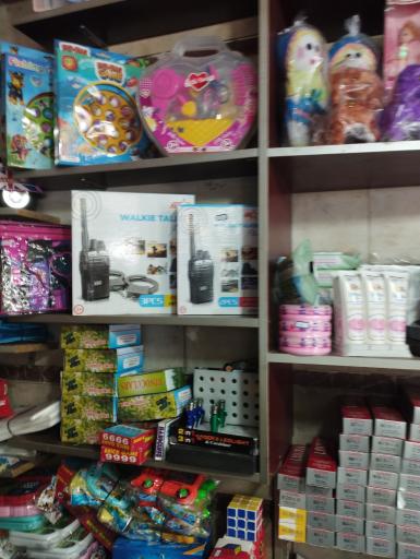 عکس فروشگاه اسباب‌بازی گل سرخ