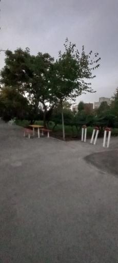 عکس پارک رز