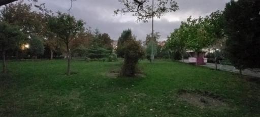 عکس پارک رز