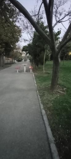 عکس پارک رز