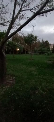 عکس پارک رز