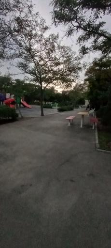 عکس پارک رز