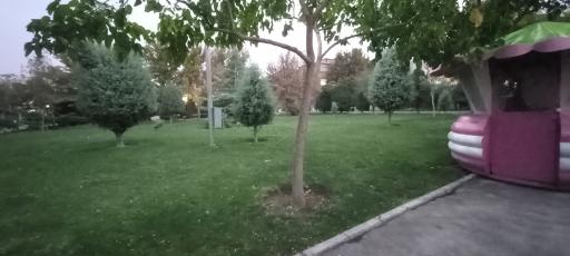 عکس پارک رز