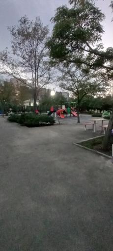 عکس پارک رز