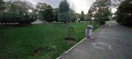 عکس پارک رز