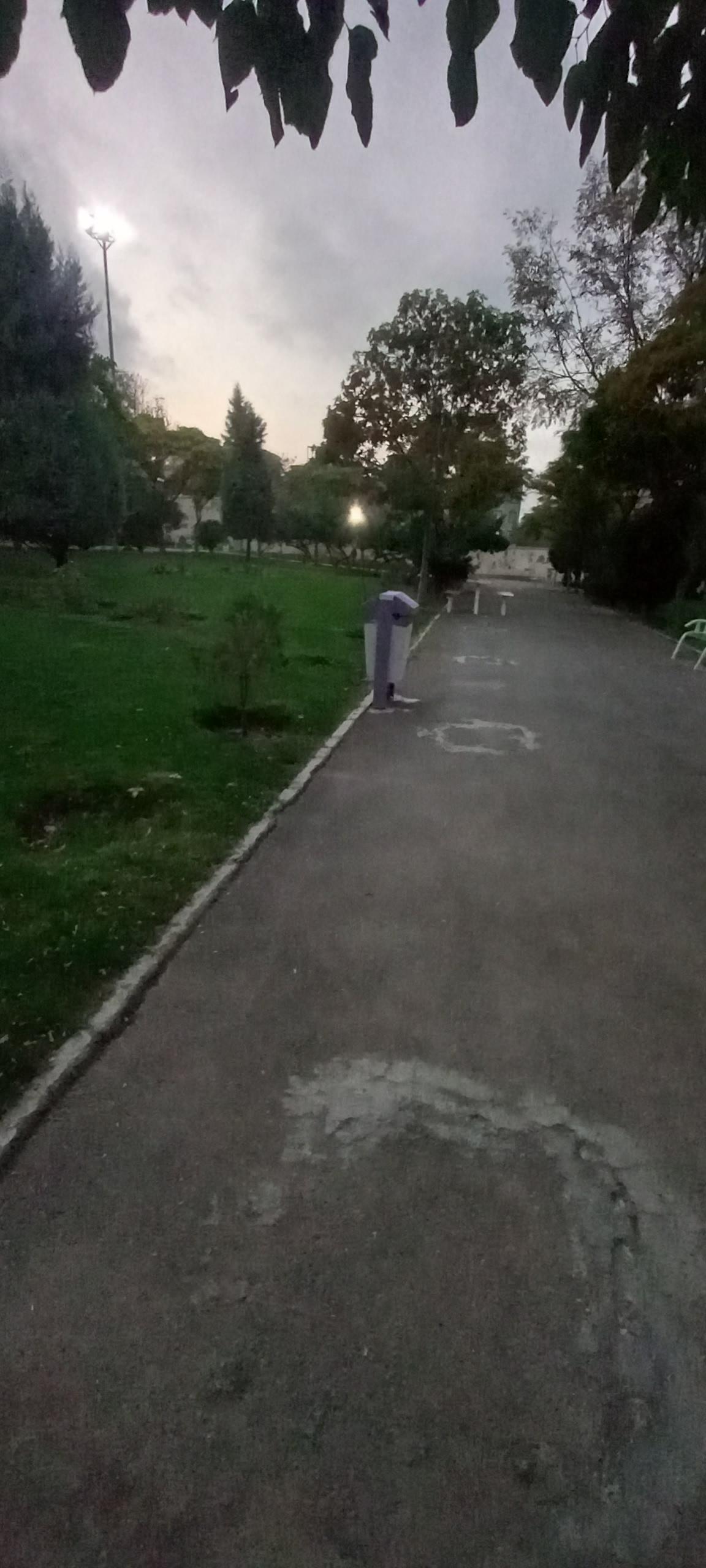 عکس پارک رز