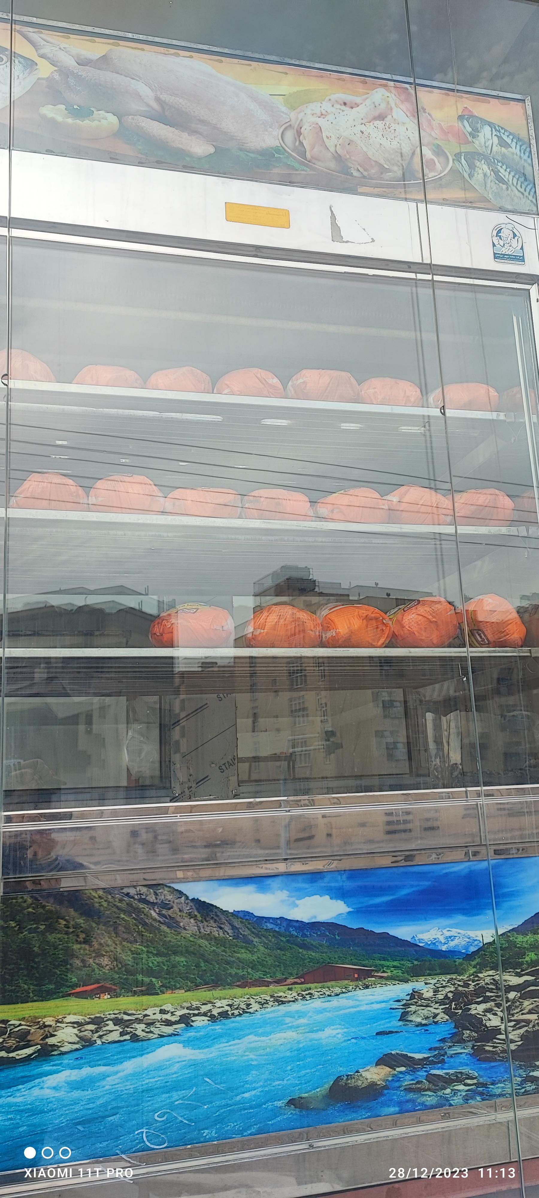 عکس مرغ و ماهی خلیج