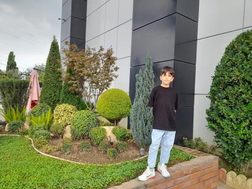 عکس شهر فرش شعبه شمال