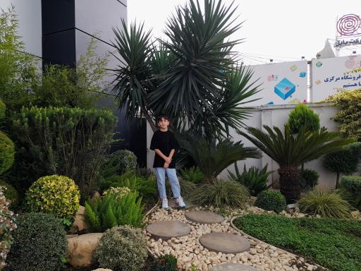 عکس شهر فرش شعبه شمال