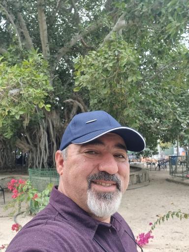 عکس درخت لور