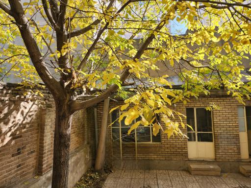 دفتر مشاوره لیلی باباخانی 