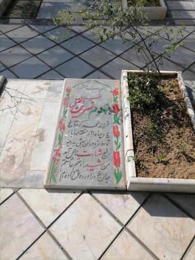 عکس مزار شهیده نسرین افضل 