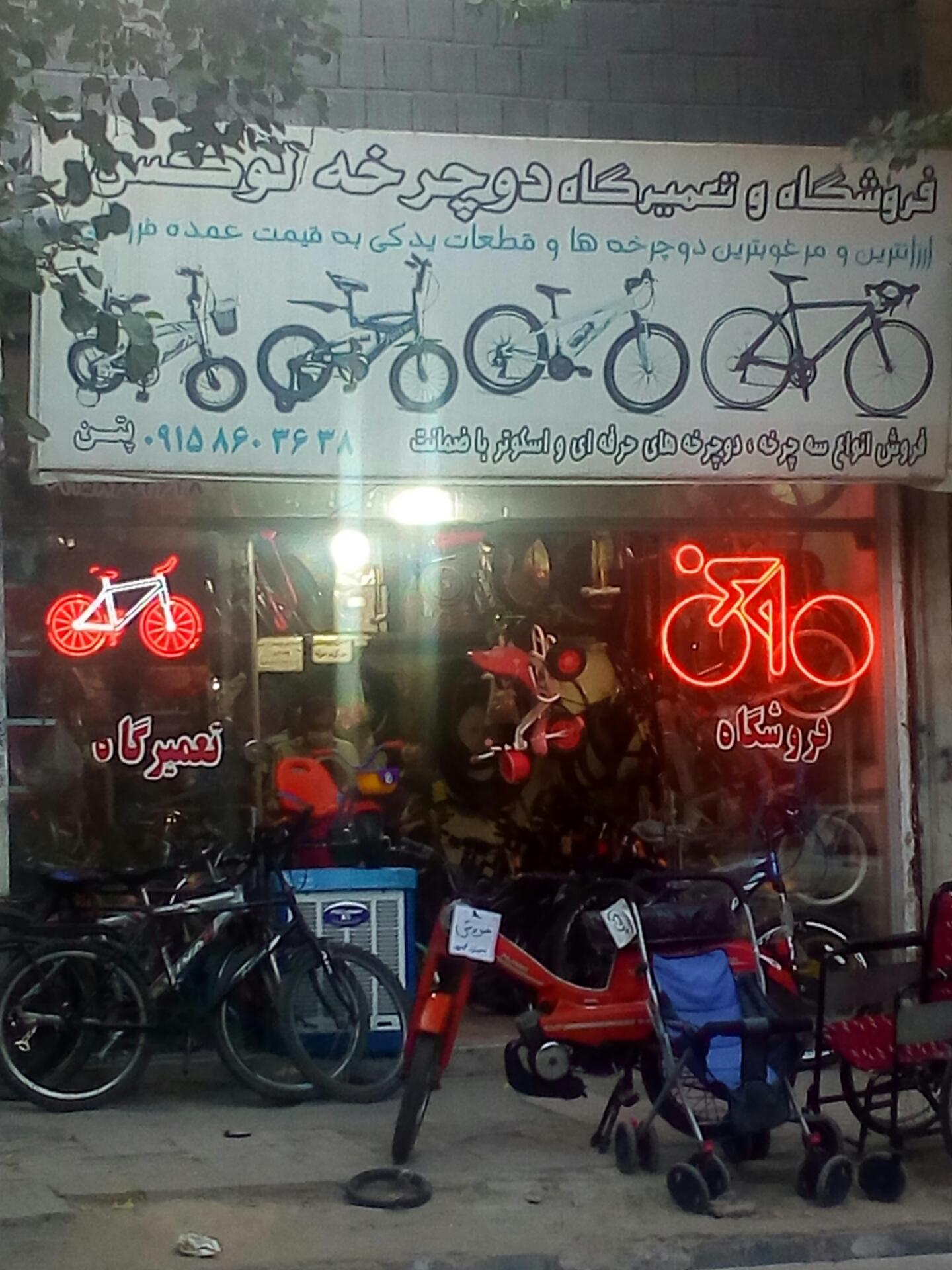 عکس دوچرخه لوکس 