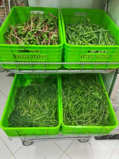 عکس سزیجات بهستان