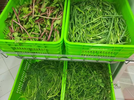 عکس سزیجات بهستان