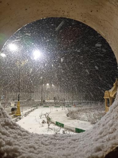 عکس بوستان انار