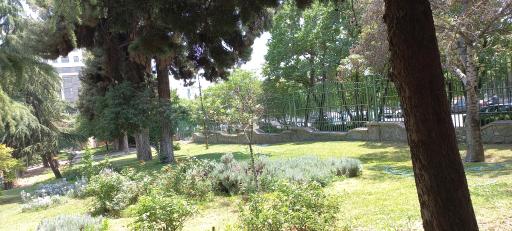 عکس دانشکده تربیت بدنی و زبان دانشگاه تهران