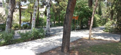 عکس دانشکده تربیت بدنی و زبان دانشگاه تهران