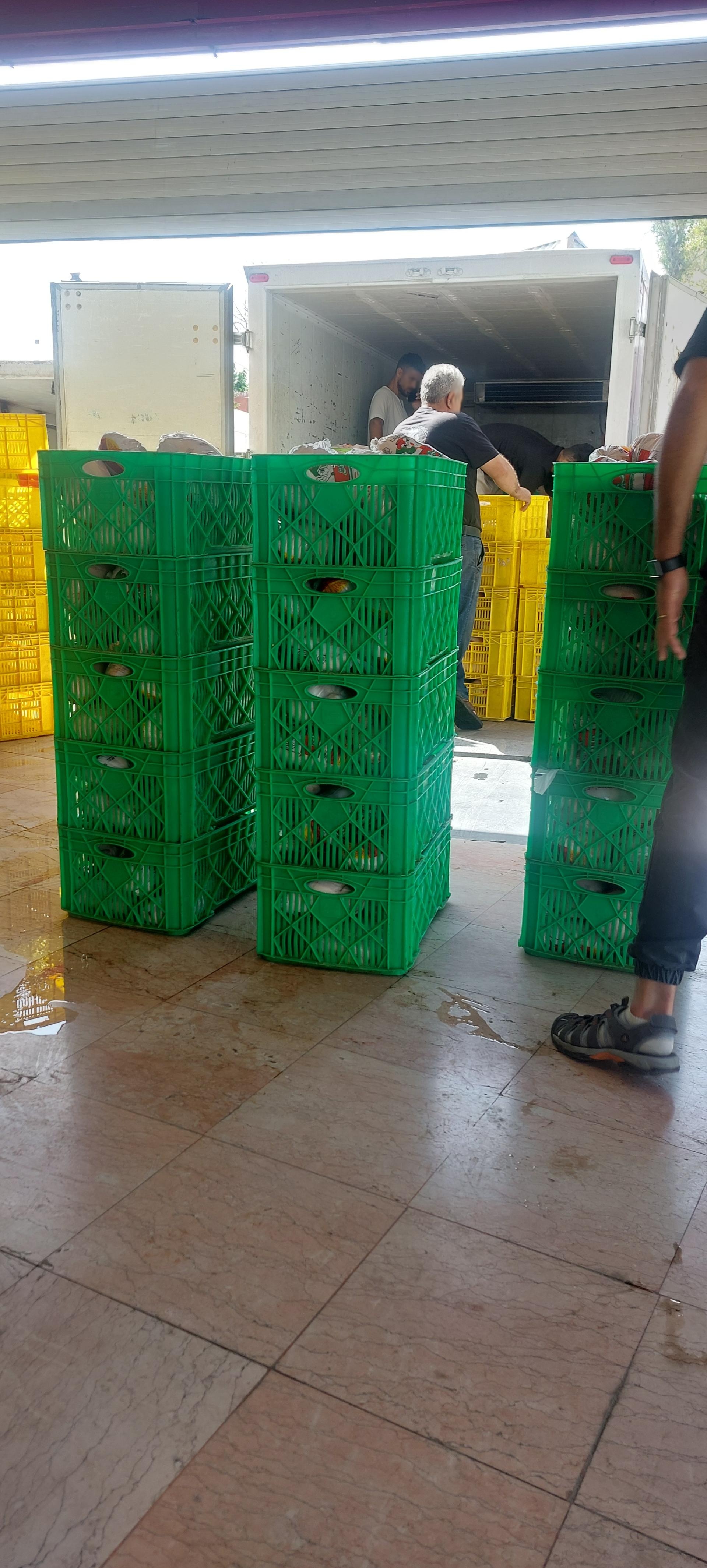 عکس پخش مرغ عمده سیاوش