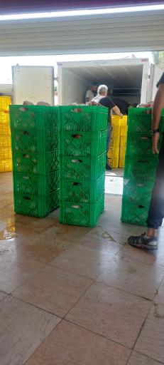 عکس پخش مرغ عمده سیاوش