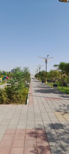 عکس بوستان انار