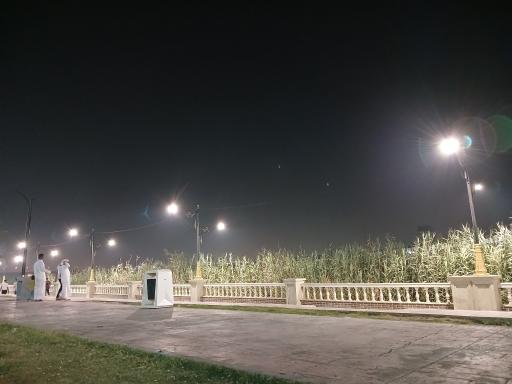 عکس پارک ریحانه