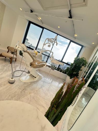 عکس کلینیک دندانپزشکی میداس