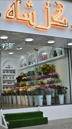 عکس گل فروشی گل شاه