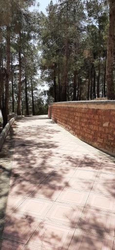 عکس پارک تپه خرگوشان