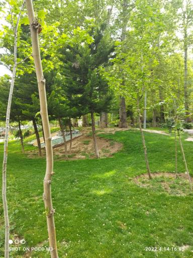 عکس بوستان قلمستان