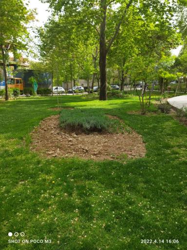 عکس بوستان قلمستان