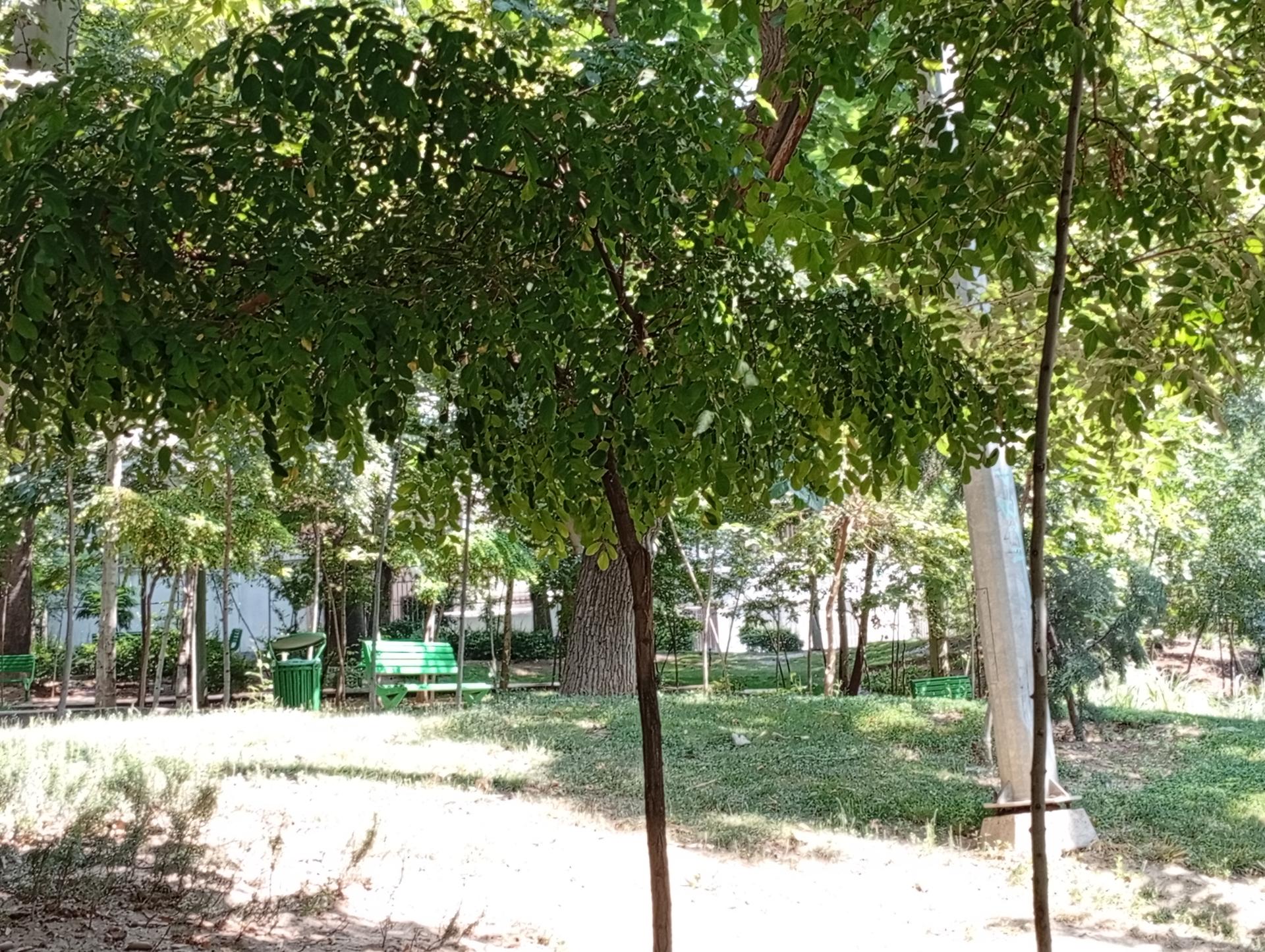 عکس بوستان قلمستان